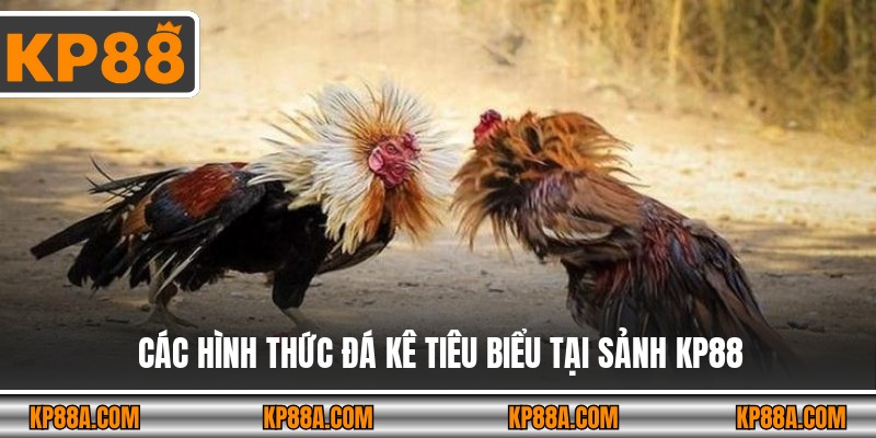 Các hình thức đá kê tiêu biểu tại sảnh KP88