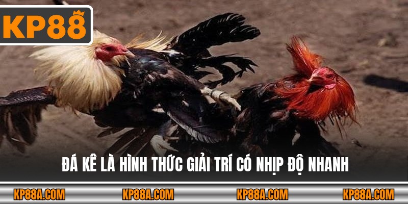 Đá kê là hình thức giải trí có nhịp độ nhanh